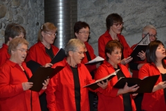 Chor-30-Jahre-20150314-0025