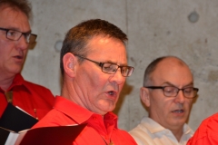 Chor-30-Jahre-20150314-0079