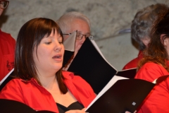 Chor-30-Jahre-20150314-0080