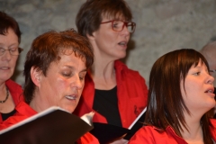 Chor-30-Jahre-20150314-0081