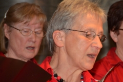 Chor-30-Jahre-20150314-0082