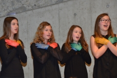 Chor-30-Jahre-20150314-0089