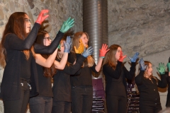 Chor-30-Jahre-20150314-0092