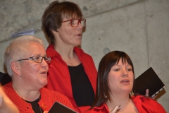 Chor-30-Jahre-20150314-0099