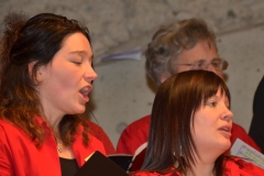 Chor-30-Jahre-20150314-0119