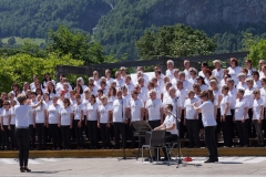 DSC00050-Meiringen-Pulschor