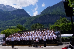 DSC00051-Meiringen-Pulschor