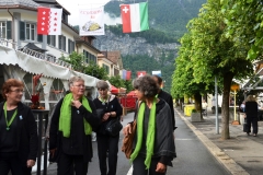 Gesangsfest-2015-0030