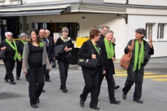 Gesangsfest-2015-0035