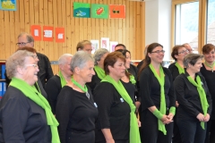 Gesangsfest-2015-0052