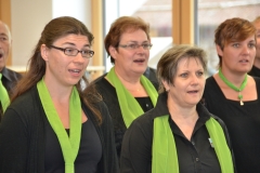 Gesangsfest-2015-0060