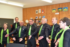 Gesangsfest-2015-0066