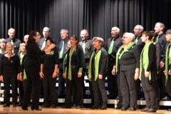 Gesangsfest-2015-0088