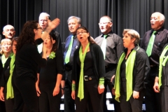 Gesangsfest-2015-0093-Kopie