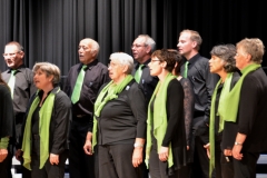 Gesangsfest-2015-0095