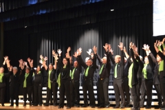 Gesangsfest-2015-0124