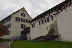 Metzgete-Chor-2011-0001