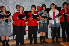 Gemischter-Chor-Pfyn-Unterhaltung-2010-0500