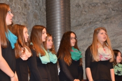 Chor-30-Jahre-20150314-0055