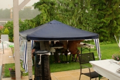 Summerbroetle-2013-010