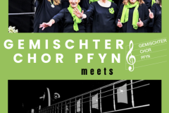 Gemischter Chor Pfyn meets Mess of Blues - Konzert in Steckborn 2026