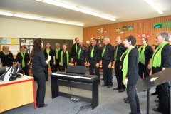 Gesangsfest Meiringen 2015