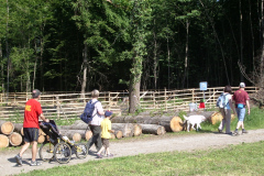 Maibummel 2010