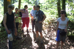 Maibummel-2010-038