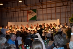 GC-Pfyn-Konzert-2016-027