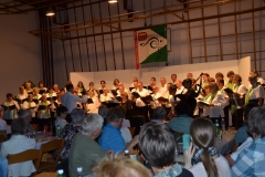 GC-Pfyn-Konzert-2016-029
