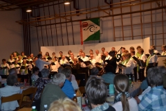 GC-Pfyn-Konzert-2016-030