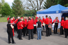 Gemischter-Chor-Pfyn-Unterhaltung-2010-0029