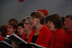 Gemischter-Chor-Pfyn-Unterhaltung-2010-0055