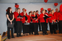 Gemischter-Chor-Pfyn-Unterhaltung-2010-0161