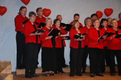 Gemischter-Chor-Pfyn-Unterhaltung-2010-0182