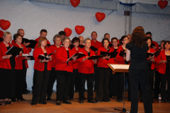 Gemischter-Chor-Pfyn-Unterhaltung-2010-0183