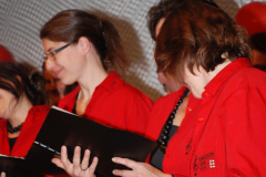 Gemischter-Chor-Pfyn-Unterhaltung-2010-0214