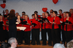 Gemischter-Chor-Pfyn-Unterhaltung-2010-0234