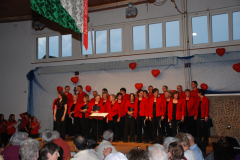 Gemischter-Chor-Pfyn-Unterhaltung-2010-0245