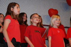 Gemischter-Chor-Pfyn-Unterhaltung-2010-0255