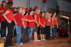 Gemischter-Chor-Pfyn-Unterhaltung-2010-0281