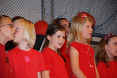 Gemischter-Chor-Pfyn-Unterhaltung-2010-0282