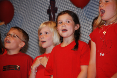 Gemischter-Chor-Pfyn-Unterhaltung-2010-0307