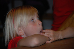 Gemischter-Chor-Pfyn-Unterhaltung-2010-0567