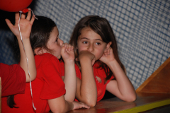 Gemischter-Chor-Pfyn-Unterhaltung-2010-0575