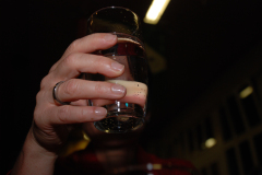 Gemischter-Chor-Pfyn-Unterhaltung-2010-0634